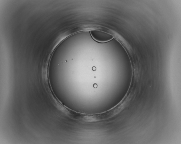 X0000112081194200908041248