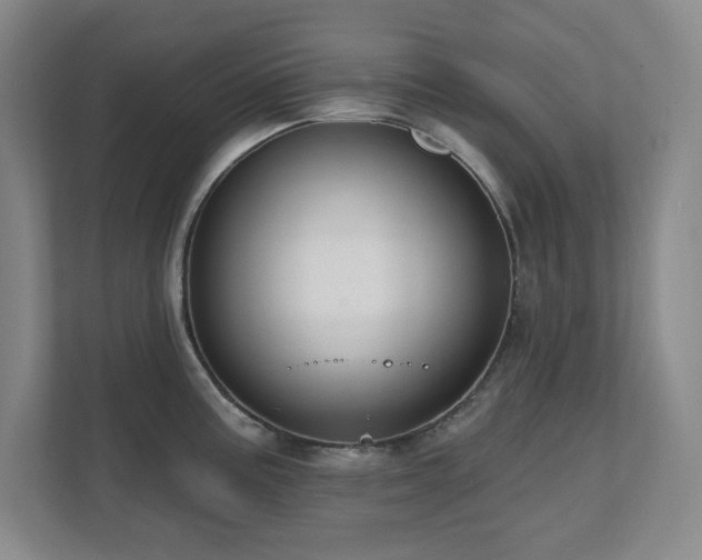 X0000112081195200908041248