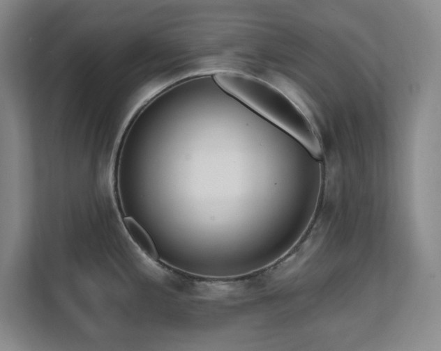 X0000112081197200908041248