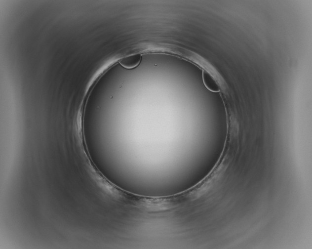 X0000112081198200908041248