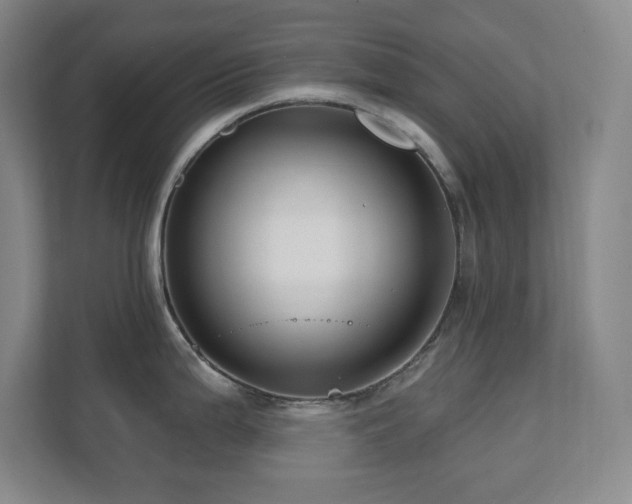 X0000112081199200908041248