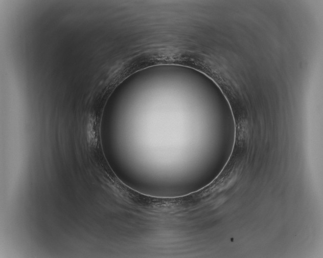 X0000112081202200908041247