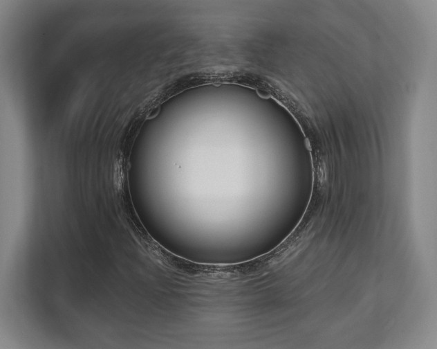X0000112081204200908041247