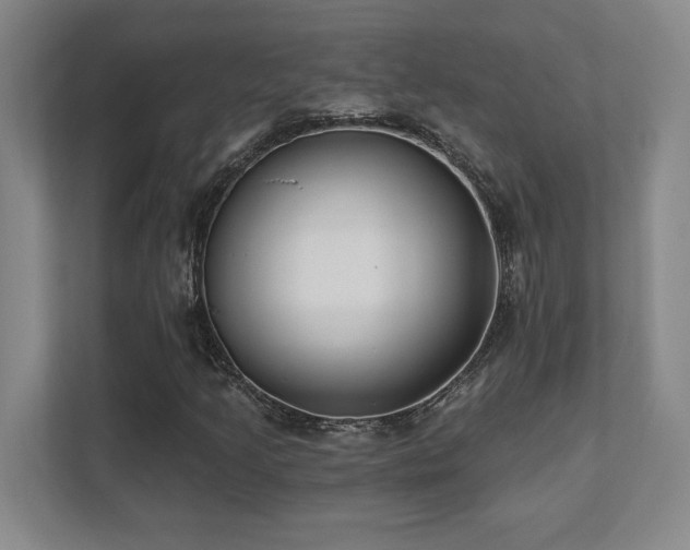 X0000112081205200908041247