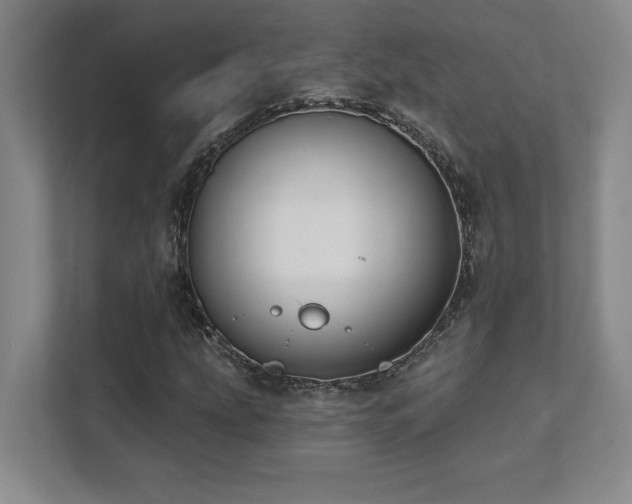 X0000112081207200908041247