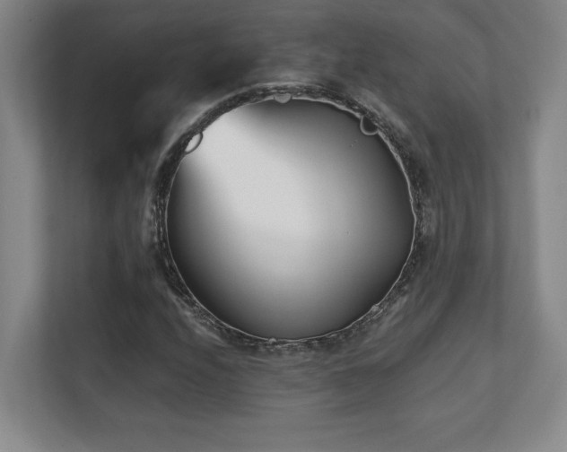 X0000112081208200908041247