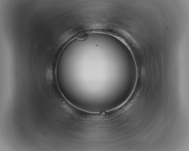 X0000112081209200908041247