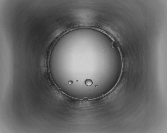 X0000112081211200908041247