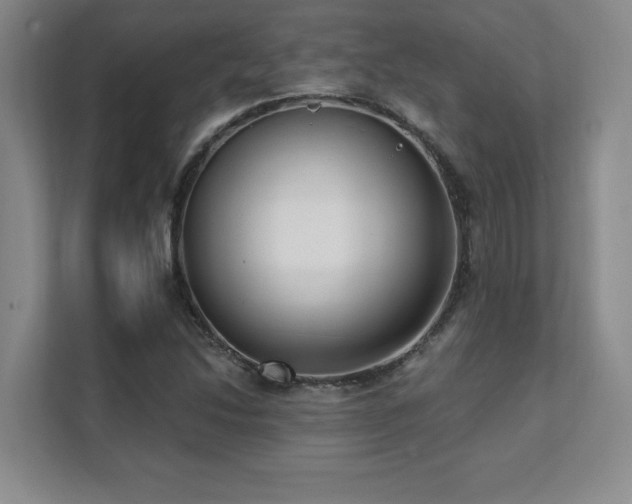X0000112081214200908041247