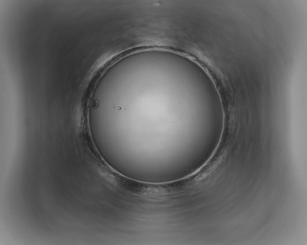 X0000112081215200908041247
