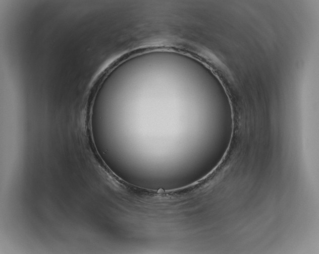 X0000112081216200908041247