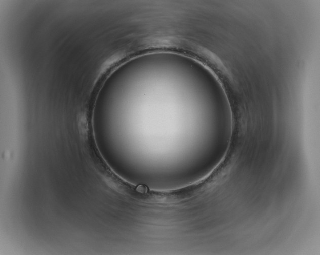 X0000112081218200908041247