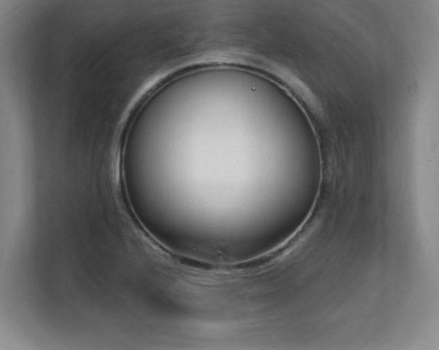X0000112081224200908041247