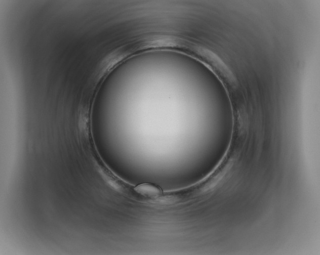 X0000112081225200908041247