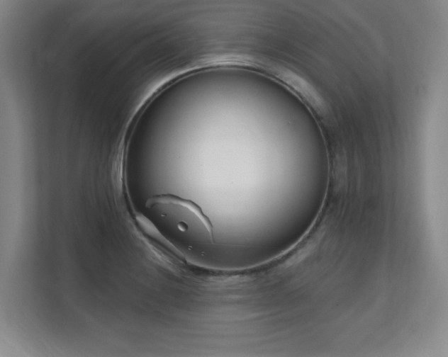 X0000112081228200908041247