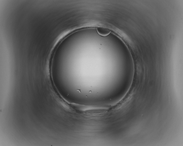 X0000112081230200908041247