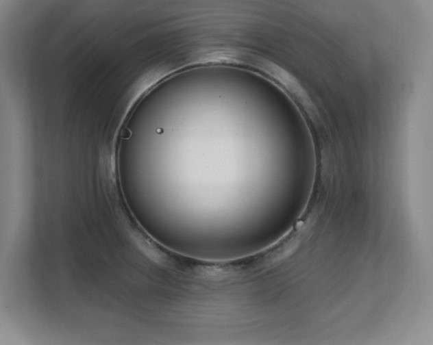 X0000112081234200908041247