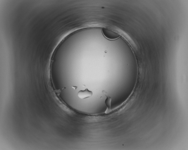 X0000112081236200908041247