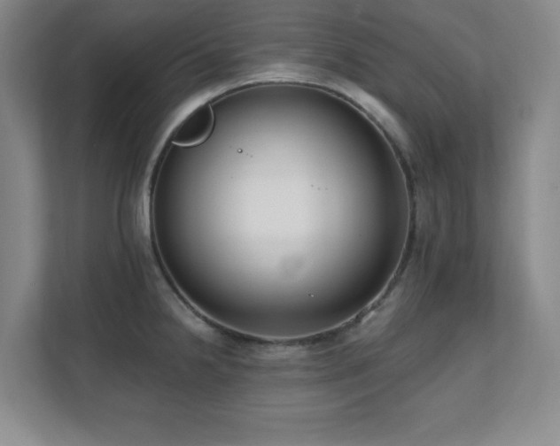 X0000112081238200908041247