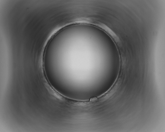 X0000112081240200908041247