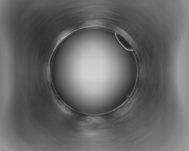 X0000112081242200908041247