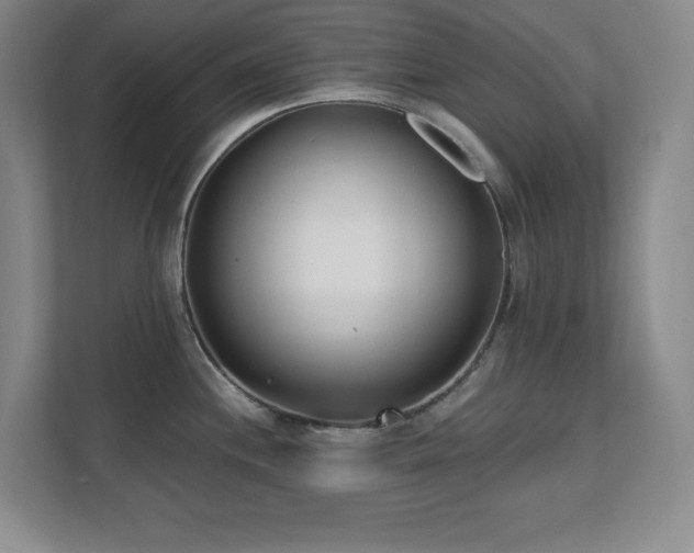 X0000112081244200908041247