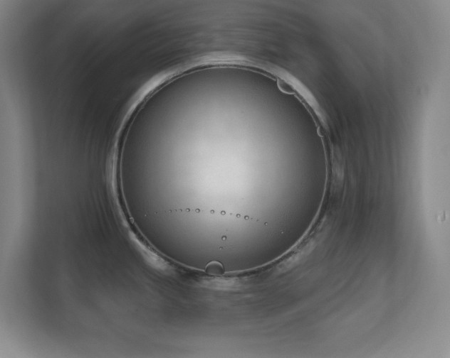 X0000112081245200908041247