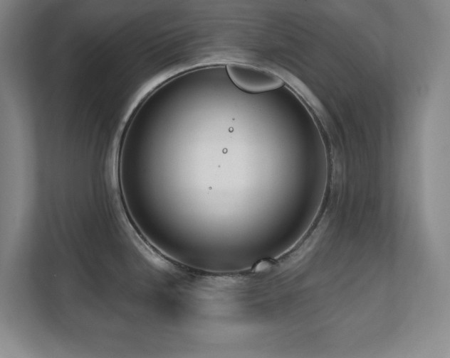 X0000112081246200908041247