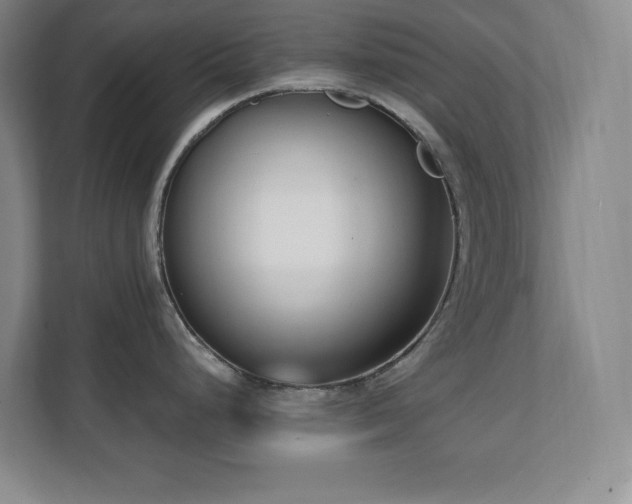 X0000112081248200908041247