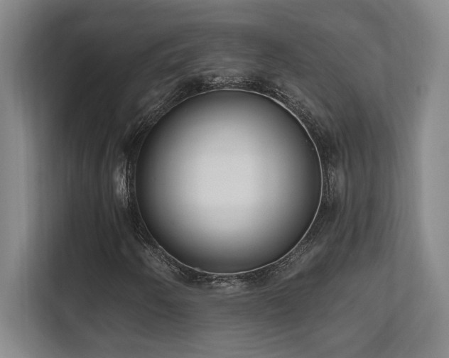 X0000112081250200908041247