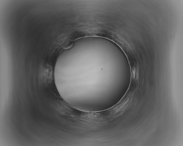 X0000112081251200908041247