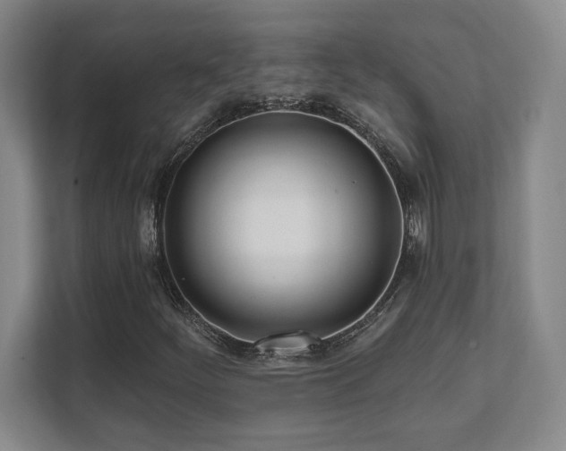 X0000112081252200908041247