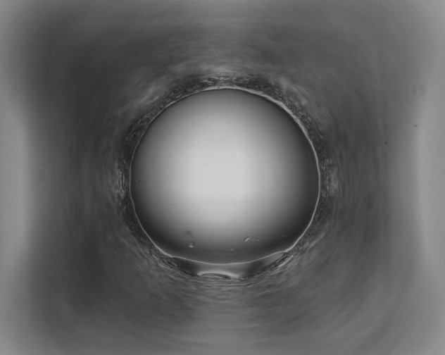 X0000112081253200908041247