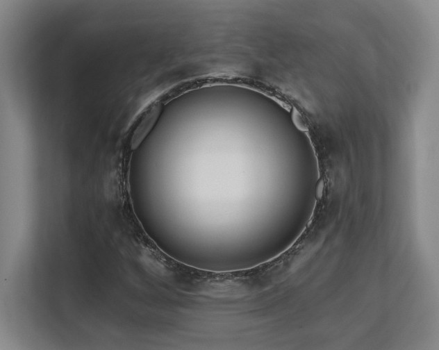 X0000112081256200908041247