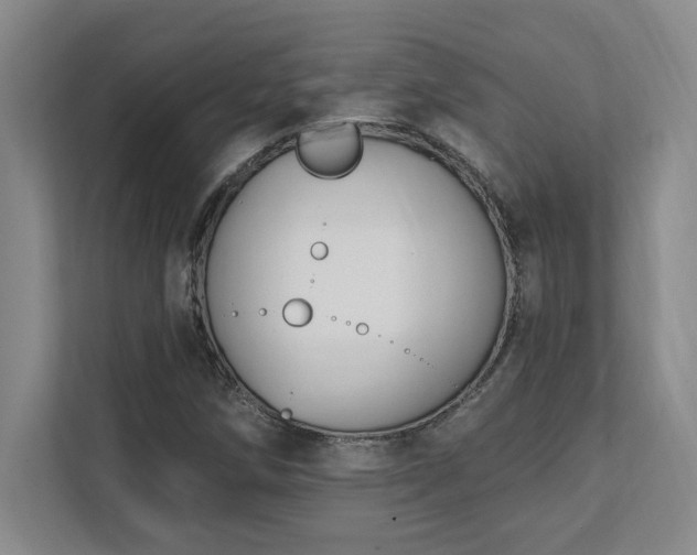 X0000112081258200908041247
