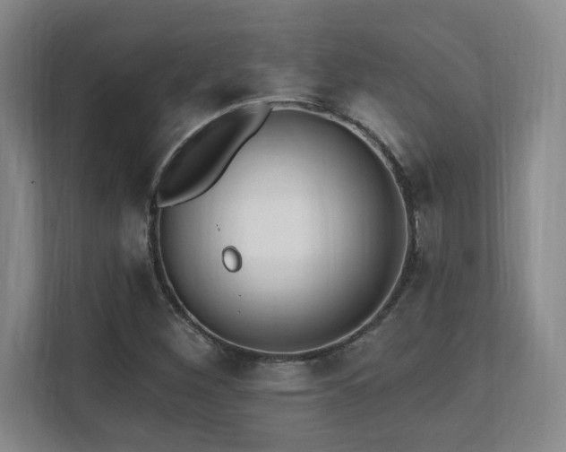 X0000112081260200908041247