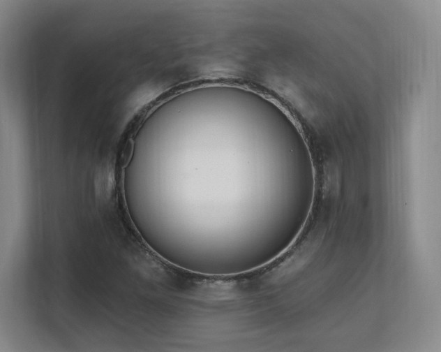 X0000112081261200908041247