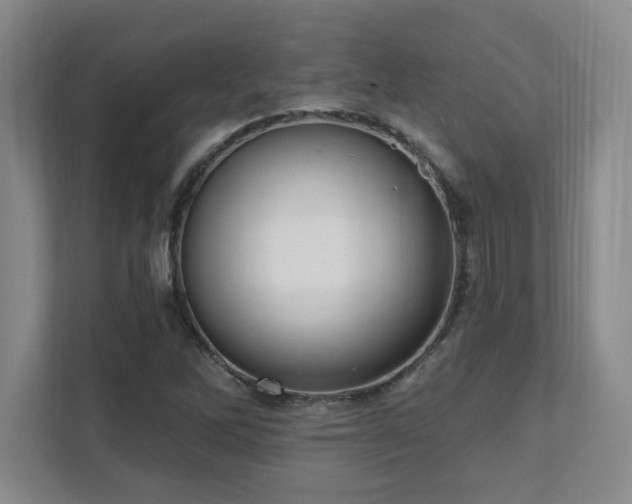 X0000112081262200908041247