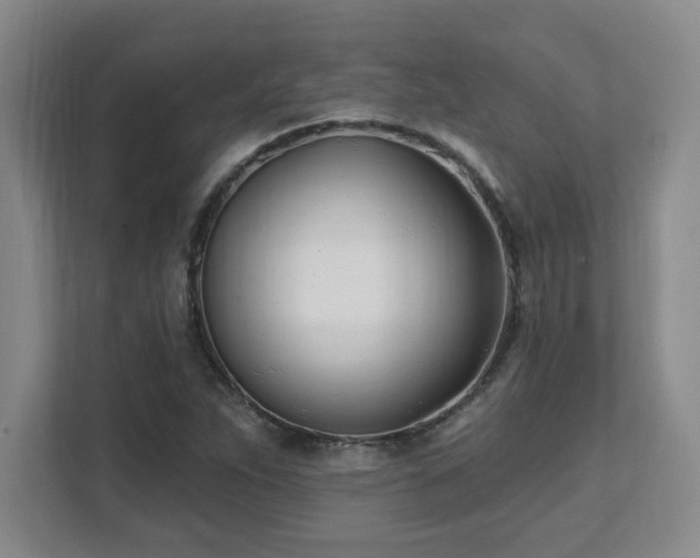 X0000112081263200908041247