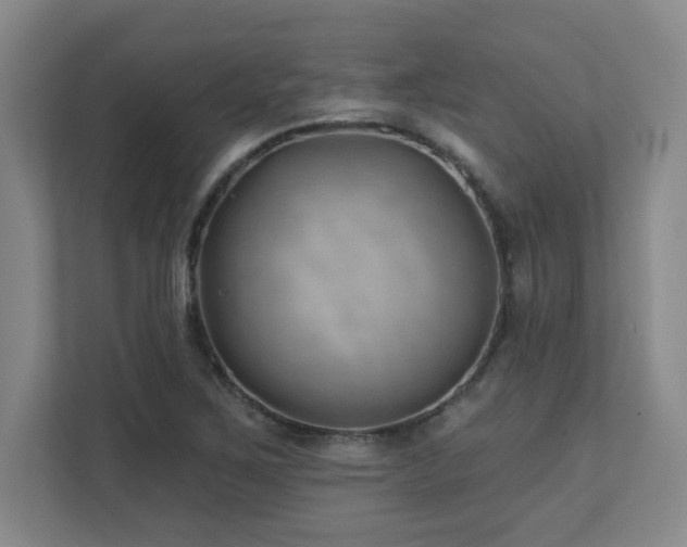 X0000112081267200908041247