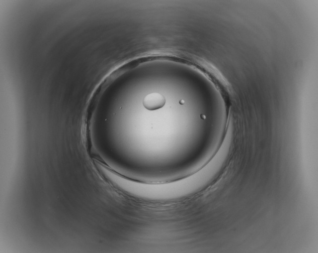 X0000112081268200908041247