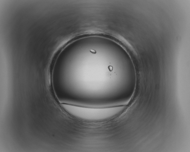 X0000112081269200908041247