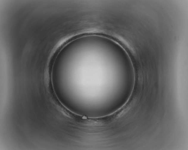 X0000112081270200908041247