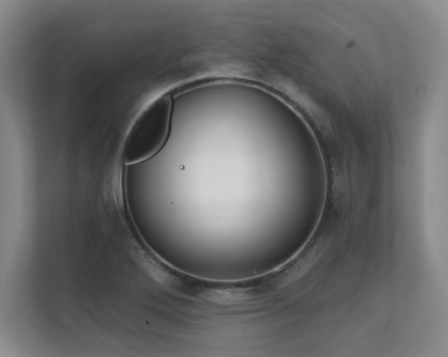 X0000112081272200908041247