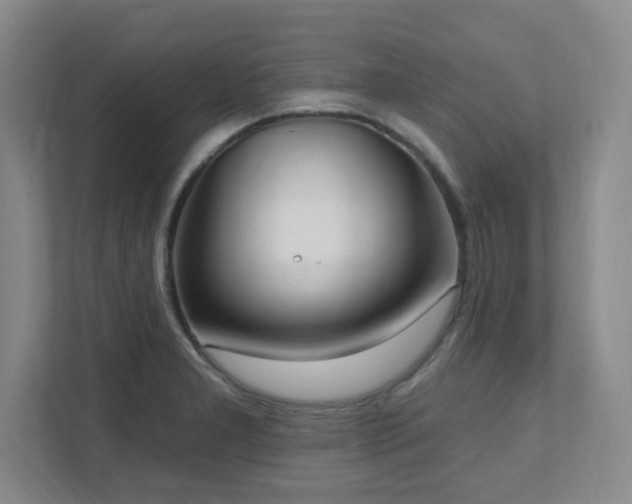 X0000112081277200908041247