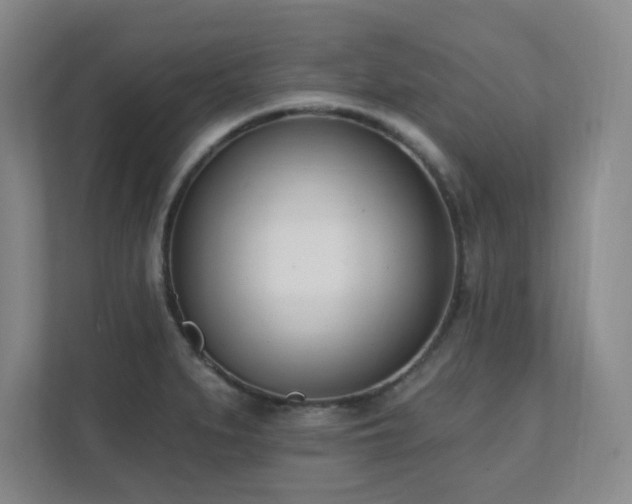 X0000112081279200908041246