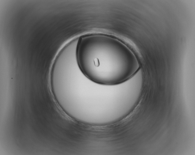 X0000112081280200908041246