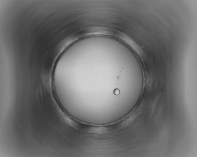 X0000112081282200908041246