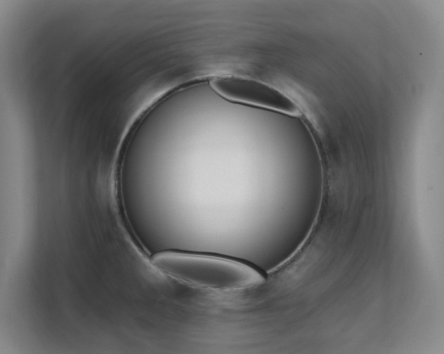 X0000112081285200908041246