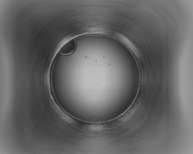 X0000112081291200908041246